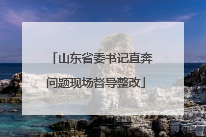 山东省委书记直奔问题现场督导整改