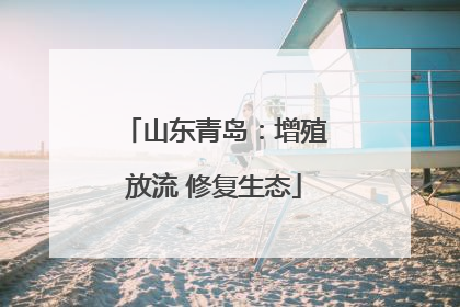 山东青岛：增殖放流 修复生态