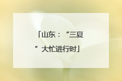 山东：“三夏”大忙进行时