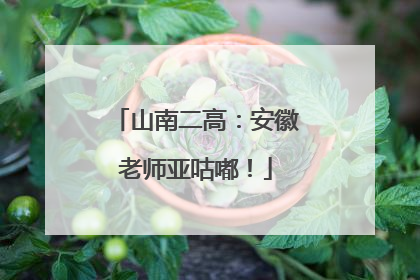 山南二高：安徽老师亚咕嘟！