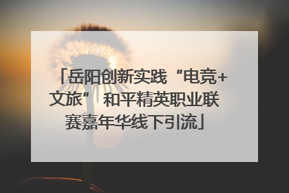 岳阳创新实践“电竞+文旅” 和平精英职业联赛嘉年华线下引流