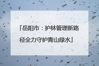 岳阳市：护林管理新路径全力守护青山绿水