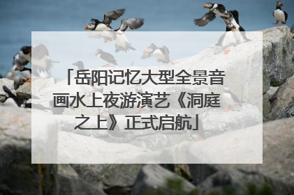 岳阳记忆大型全景音画水上夜游演艺《洞庭之上》正式启航