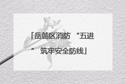 岳麓区消防 “五进” 筑牢安全防线