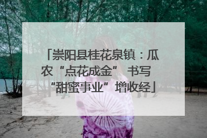 崇阳县桂花泉镇：瓜农“点花成金” 书写“甜蜜事业”增收经