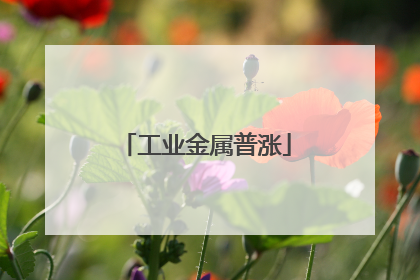 工业金属普涨