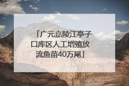 广元嘉陵江亭子口库区人工增殖放流鱼苗40万尾