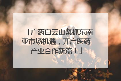 广药白云山紧抓东南亚市场机遇，开启医药产业合作新篇！