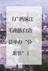 广西环江毛南族自治县举办“分龙节”