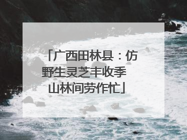 广西田林县：仿野生灵芝丰收季 山林间劳作忙