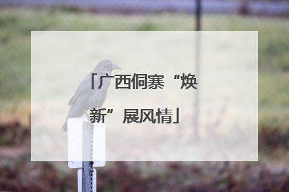 广西侗寨“焕新”展风情