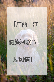广西三江侗族河歌节展风情