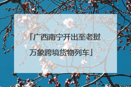 广西南宁开出至老挝万象跨境货物列车