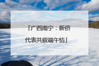 广西南宁：新侨代表共叙端午情