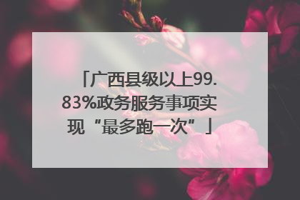 广西县级以上99.83%政务服务事项实现“最多跑一次”