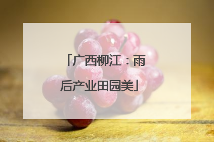 广西柳江：雨后产业田园美
