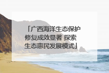 广西海洋生态保护修复成效显著 探索生态惠民发展模式