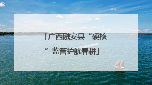 广西融安县“硬核”监管护航春耕