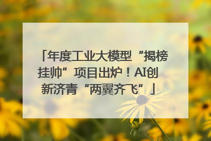年度工业大模型“揭榜挂帅”项目出炉！AI创新济青“两翼齐飞”