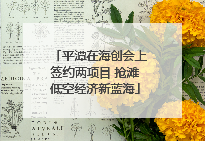 平潭在海创会上签约两项目 抢滩低空经济新蓝海