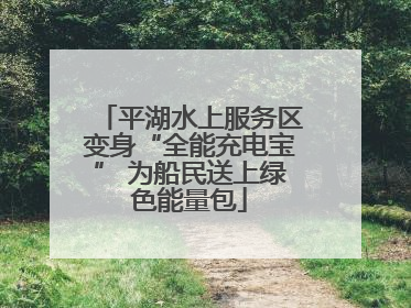 平湖水上服务区变身“全能充电宝” 为船民送上绿色能量包