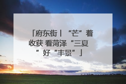 府东街丨“芒”着收获 看菏泽“三夏”好“丰景”