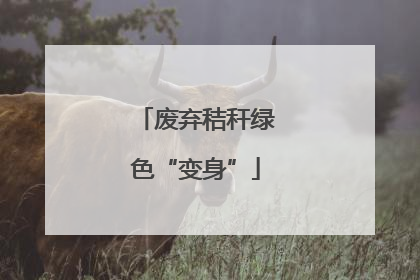 废弃秸秆绿色“变身”