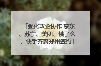强化政企协作 京东、苏宁、美团、饿了么、快手齐聚郑州签约
