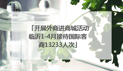 开展外商进商城活动 临沂1-4月接待国际客商13233人次