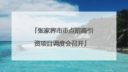 张家界市重点招商引资项目调度会召开