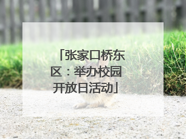 张家口桥东区：举办校园开放日活动