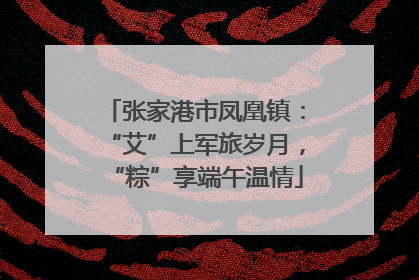 张家港市凤凰镇：“艾”上军旅岁月，“粽”享端午温情