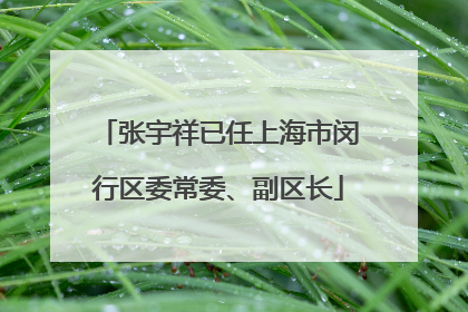 张宇祥已任上海市闵行区委常委、副区长