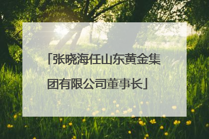 张晓海任山东黄金集团有限公司董事长