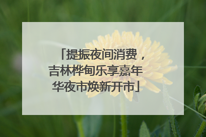 提振夜间消费，吉林桦甸乐享嘉年华夜市焕新开市