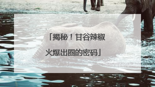 揭秘！甘谷辣椒火爆出圈的密码
