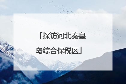探访河北秦皇岛综合保税区
