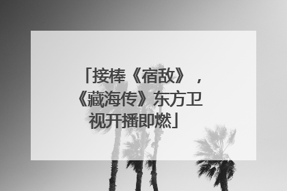 接棒《宿敌》，《藏海传》东方卫视开播即燃