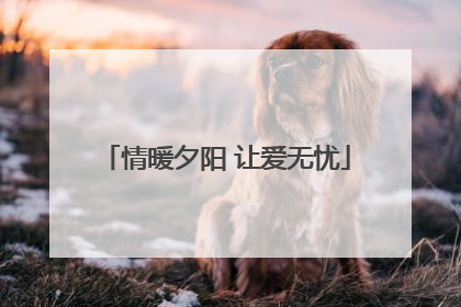 情暖夕阳 让爱无忧