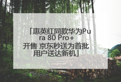 惠英红同款华为Pura 80 Pro+开售 京东秒送为首批用户送达新机