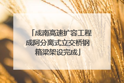 成南高速扩容工程成阿分离式立交桥钢箱梁架设完成