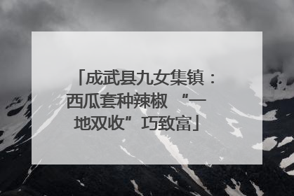 成武县九女集镇：西瓜套种辣椒 “一地双收”巧致富