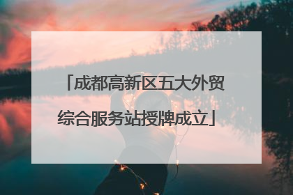 成都高新区五大外贸综合服务站授牌成立