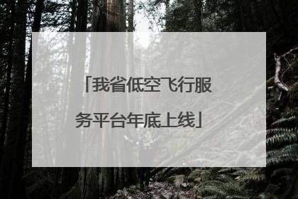 我省低空飞行服务平台年底上线
