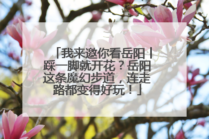 我来邀你看岳阳丨踩一脚就开花？岳阳这条魔幻步道，连走路都变得好玩！