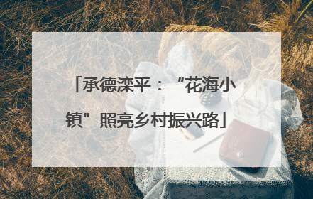 承德滦平：“花海小镇”照亮乡村振兴路