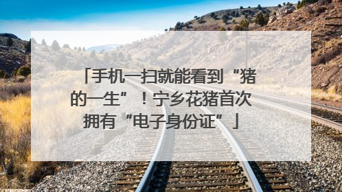 手机一扫就能看到“猪的一生”！宁乡花猪首次拥有“电子身份证”