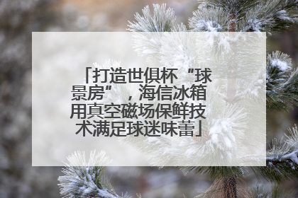 打造世俱杯“球景房”，海信冰箱用真空磁场保鲜技术满足球迷味蕾