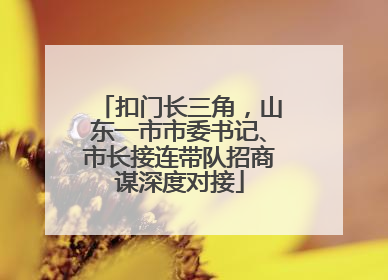 扣门长三角，山东一市市委书记、市长接连带队招商谋深度对接