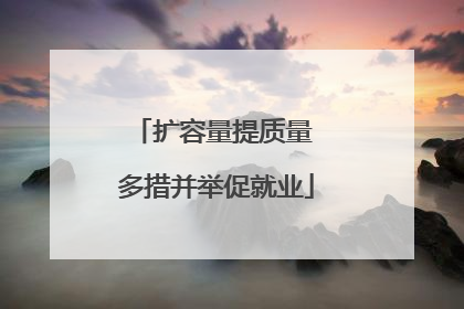 扩容量提质量 多措并举促就业